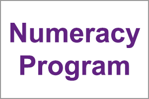 Numeracy Program
